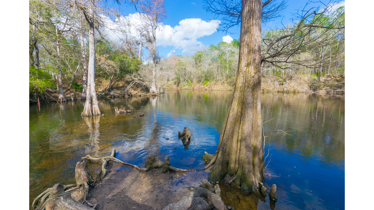 Madison Blue Spring, Withlacoochee River