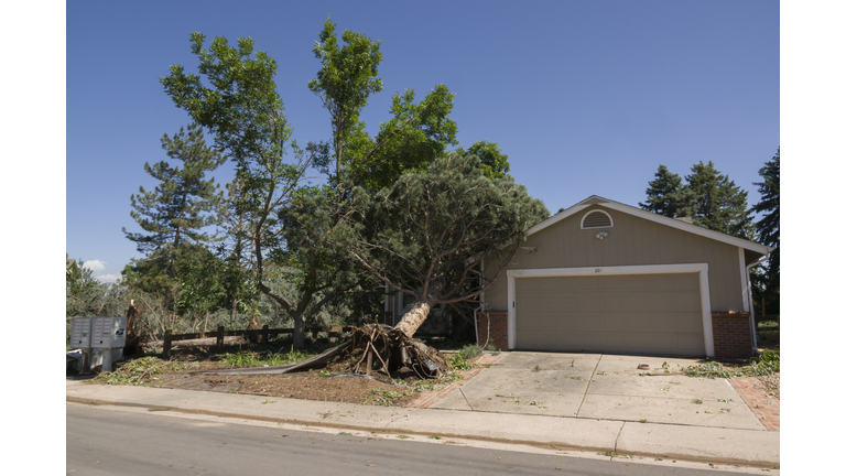 F1 tornado damaged homes and trees Highlands Ranch Colorado