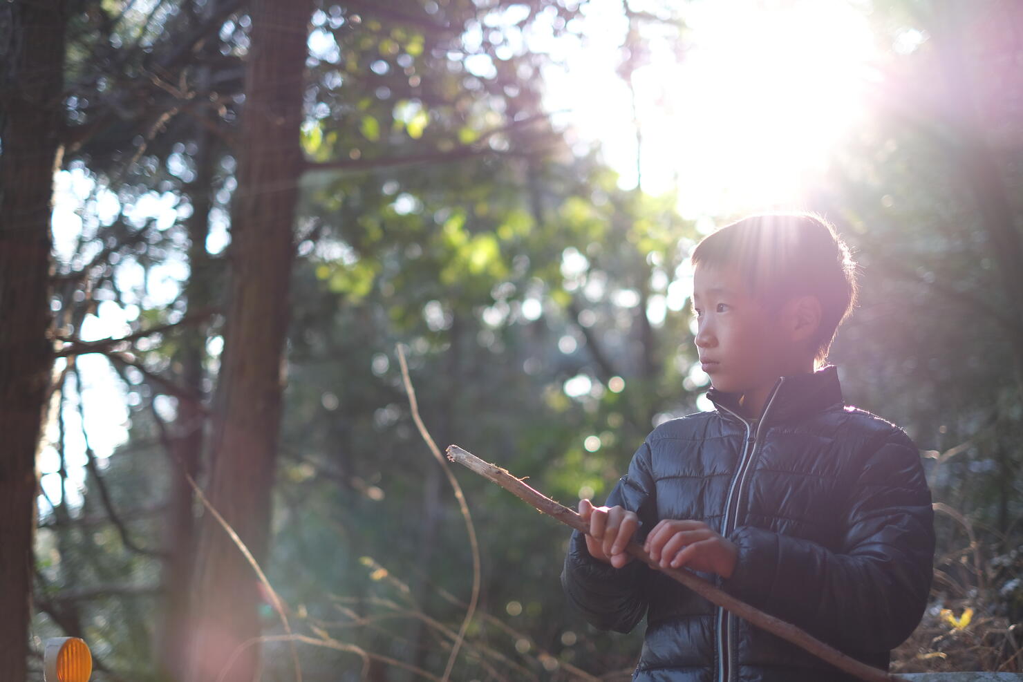 Boy playing with a stick