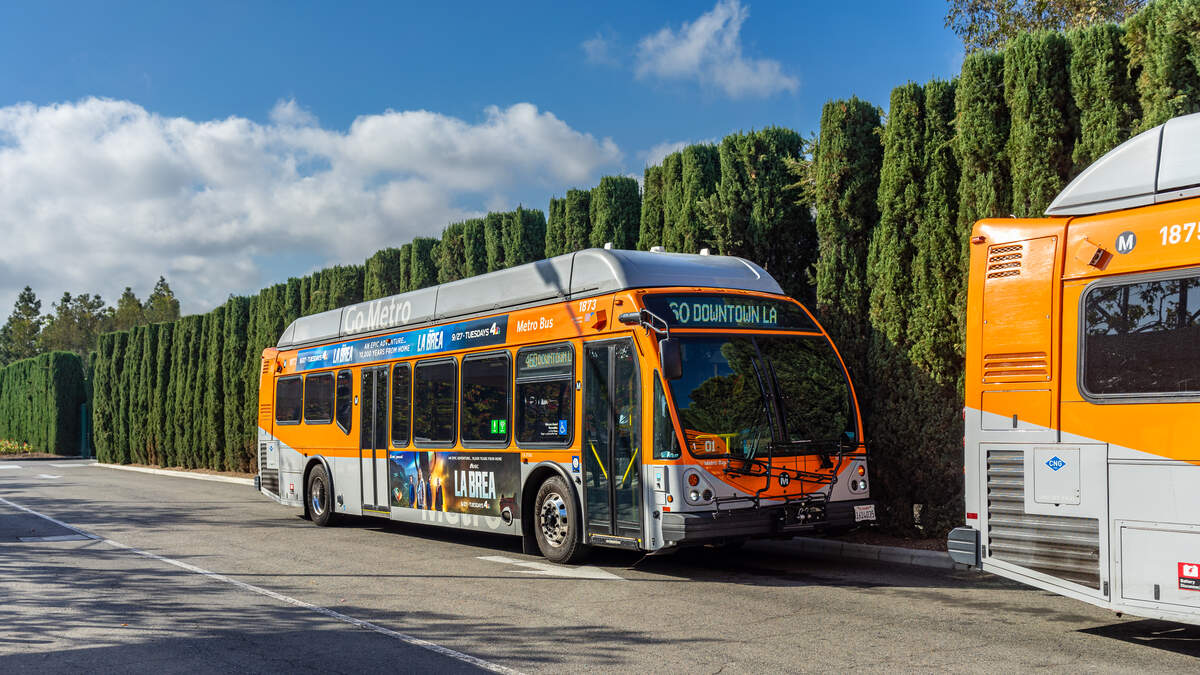 Free Metro Express buses for Dodgers' National League Division