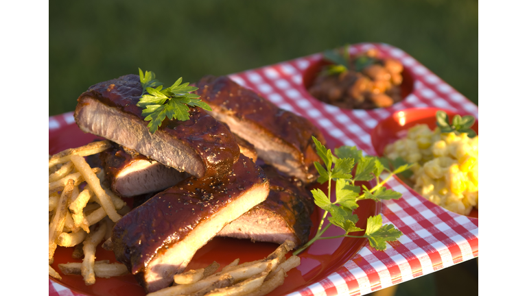 Barbeque Spareribs, American Food & Grilled Rib Labor Day Picnic Dinner