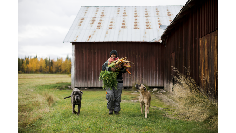 Woman with dogs and freshly picked carrots