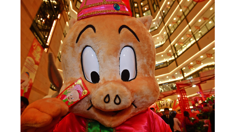 Animation Voiceovers