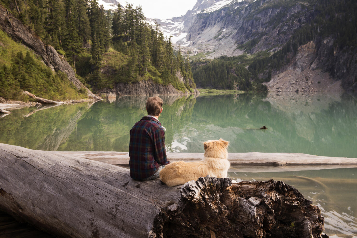 Rear view of man and dog sitting on fallen tree at Blanca Lake