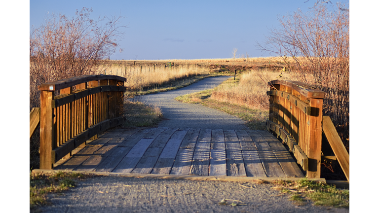 Views from the Cradleboard Trail walking pathonthe Carolyn Holmberg Preserve in Broomfield Colorado surrounded by Cattails, wildlife, plains and Rocky mountain landscape during fall close to winter. United States.