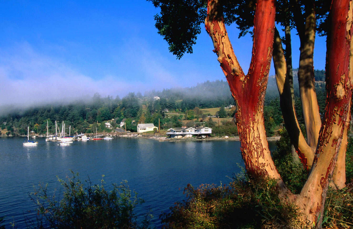 Westsound township on the shores of Puget Sound.