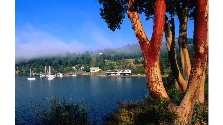 Westsound township on the shores of Puget Sound.