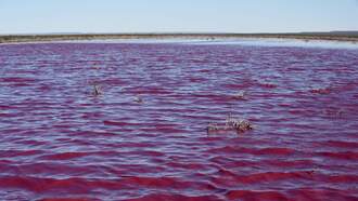 SEE: The world has gone pink (thanks Barbie). see 5 pink places to visit