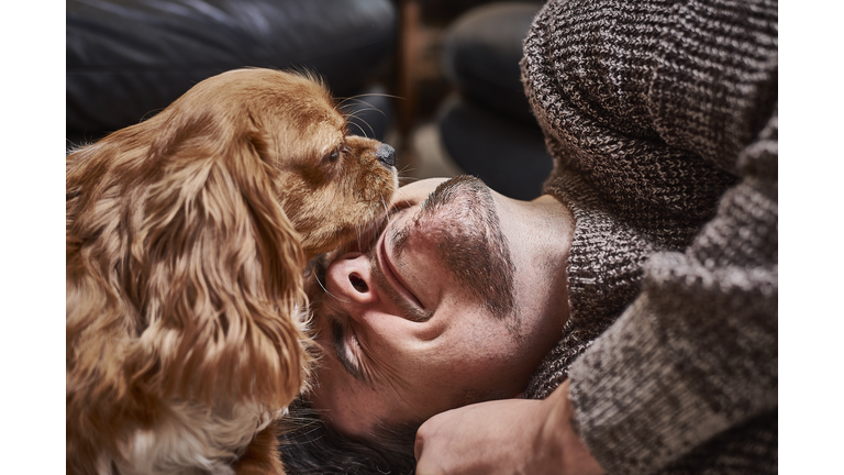 Dog resting his head on his owners face whilst both are laying on the floor