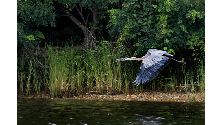 US-ENVIRONMENT-CLIMATE-CHESAPEAKE