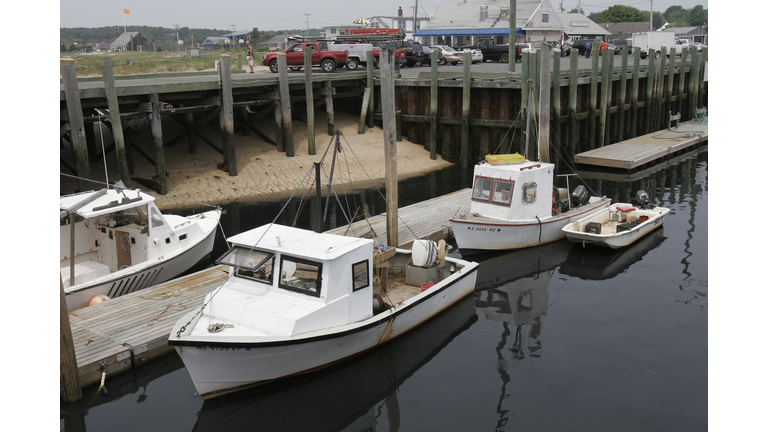 Red Tide Affects Clam Industry In Cape Cod