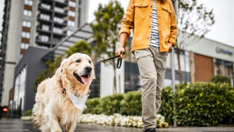 There's A New Dating App Where Having A Dog Is the Only Way To Join!