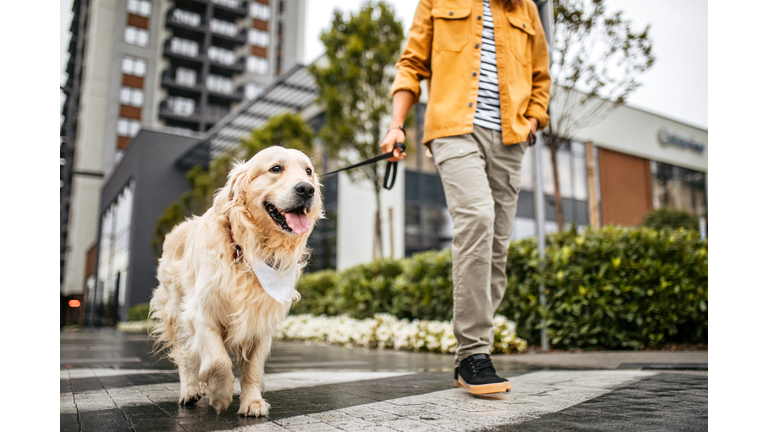 Young man and his dog walking on a rainy day