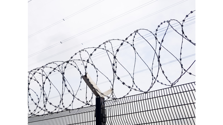 Razor wire coils on top a wire mesh fence. Confinement, prison and border security concept.