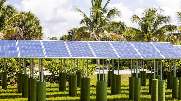 FPL Touts Community Solar Program Ahead Of Earth Day