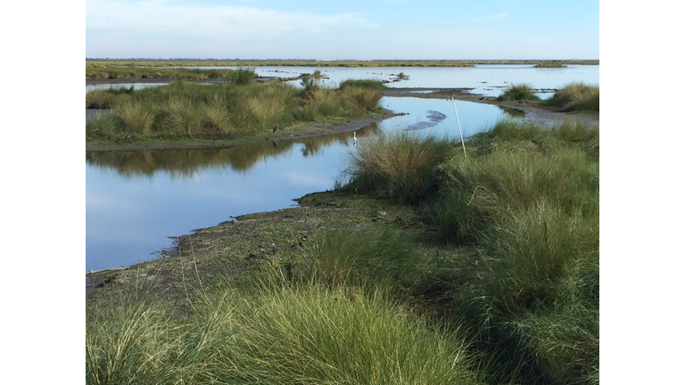 New Orleans Wildlife Refuge