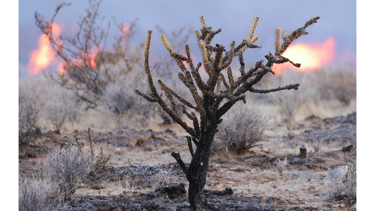 US-CLIMATE-FIRE