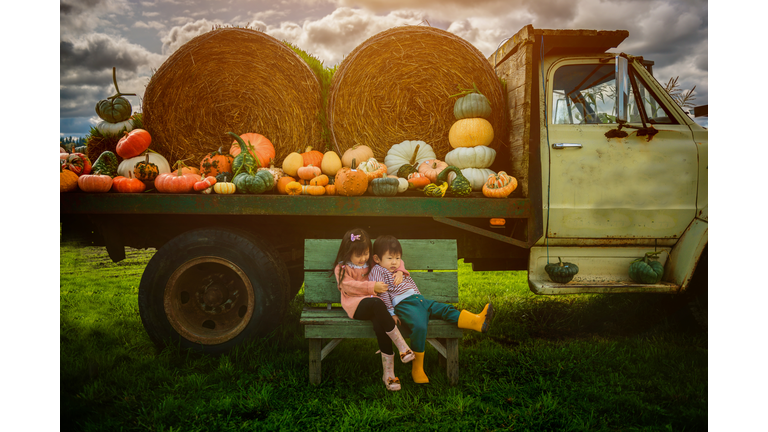 Siblings siting on the bench in front of tractor at pumpkin patch.