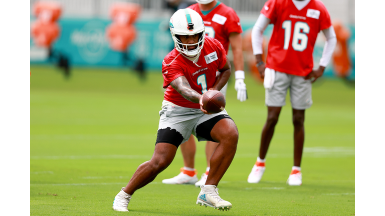 Miami Dolphins Training Camp