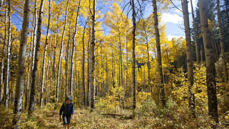 Lexington Area Nature Hikes for Fall