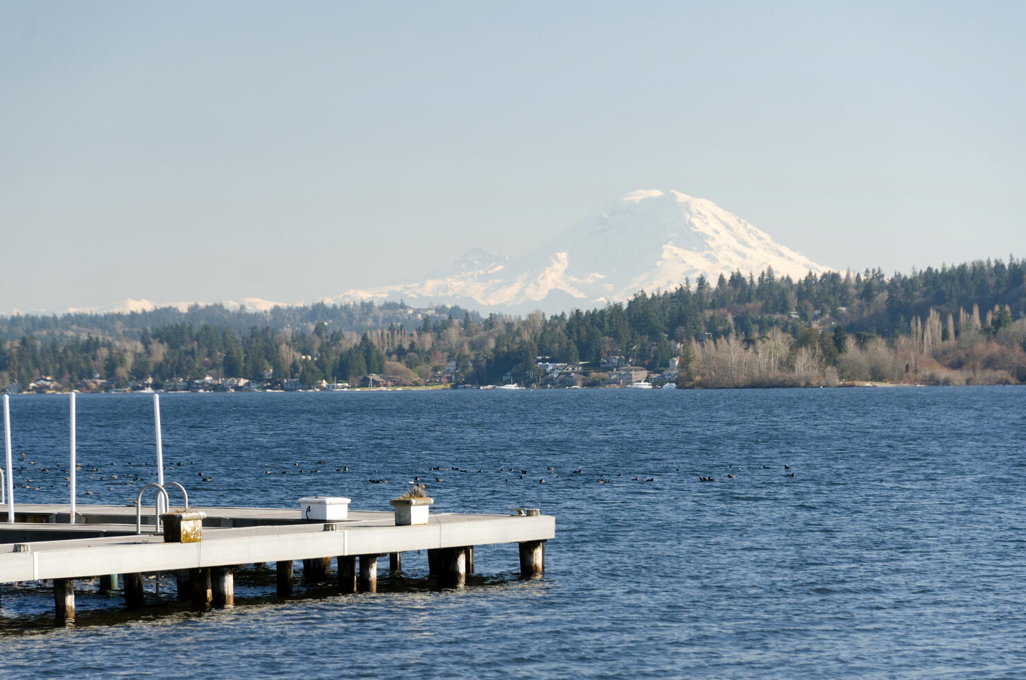 Docks in Medina  with Rainier mountain in the background. Bellevue