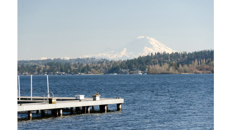 Docks in Medina  with Rainier mountain in the background. Bellevue