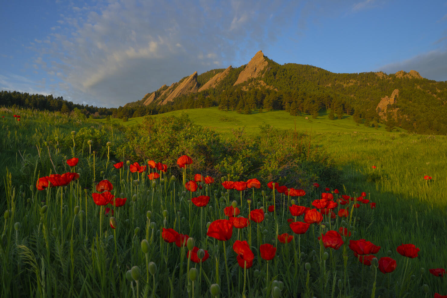 Chautauqua Park in Boulder, Colorado