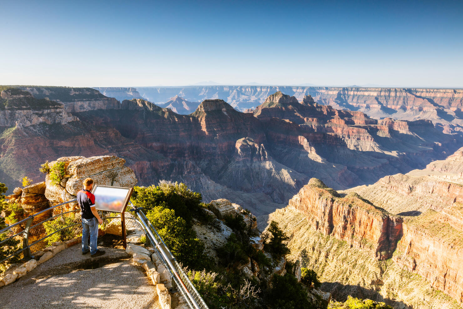 Man looking at view, Bright Angel Point, Grand Canyon, USA