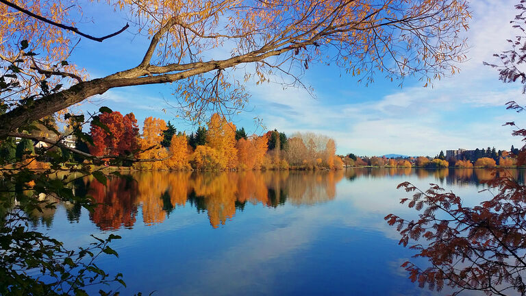 Green Lake Seattle in Autumn