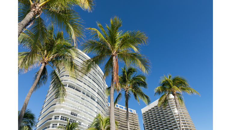 Bal Harbour Luxury Condominiums and Palm Trees