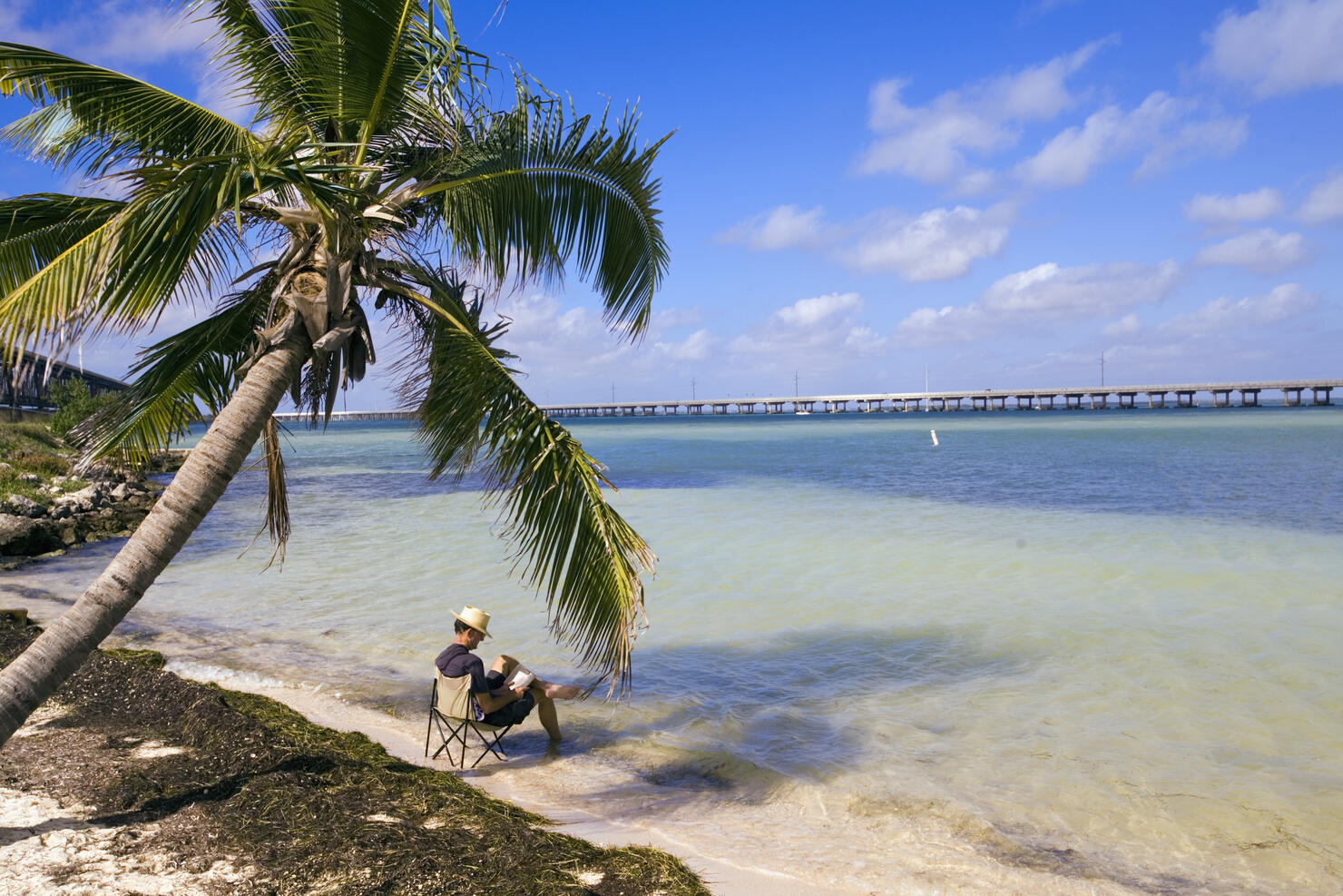 Hollywood Beach South Florida Sunrise Coconut Palm | Royal Stock Photo, image size:1480x987