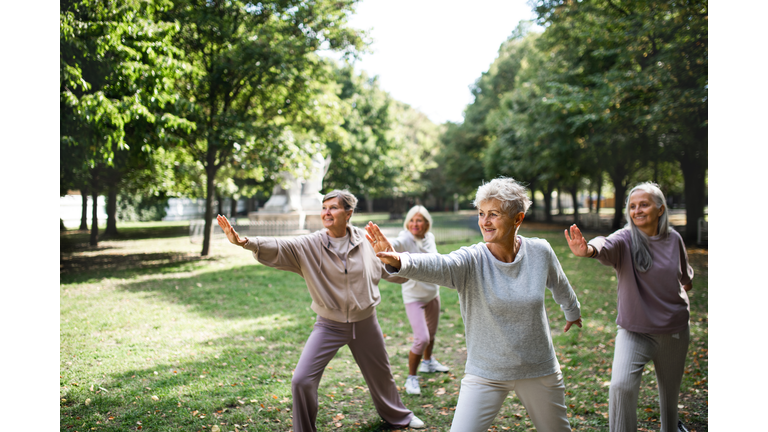 Group of senior women doing exercise outdoors in park.