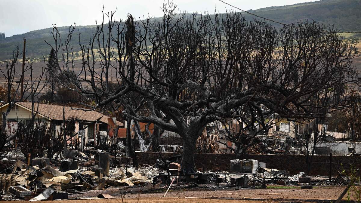 Video May Show What Started The Devastating Maui Wildfires Armstrong