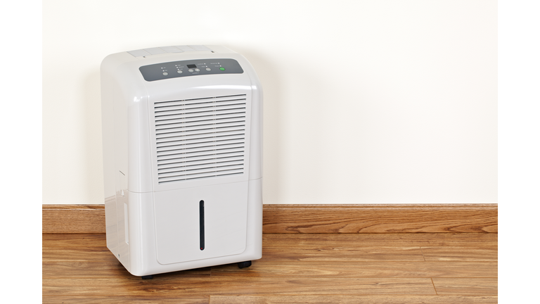 Dehumidifier