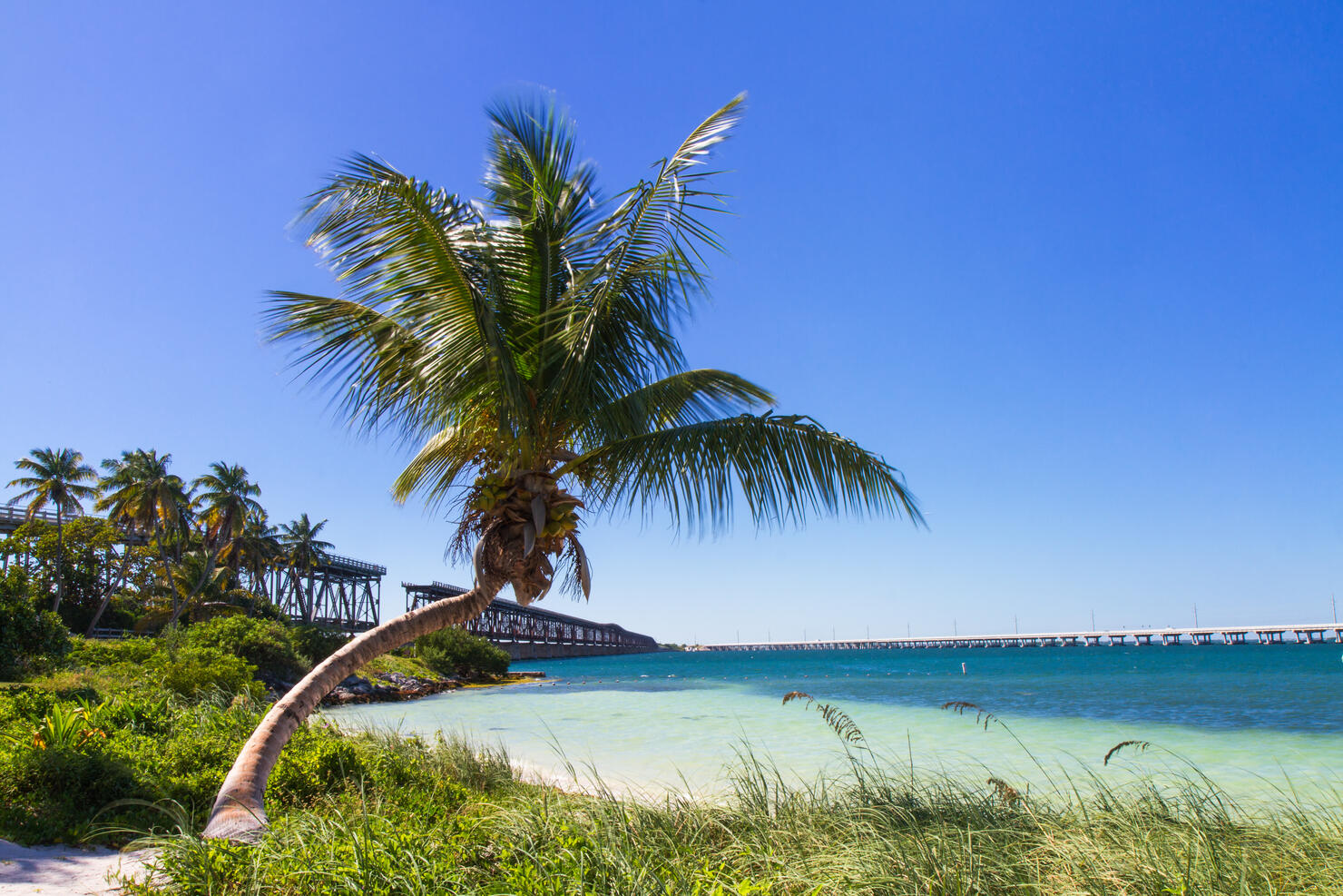 Landscape at Bahia Honda Beach