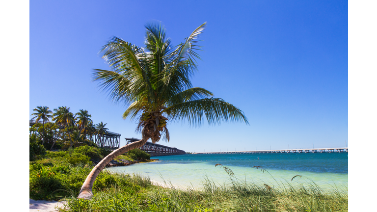 Landscape at Bahia Honda Beach