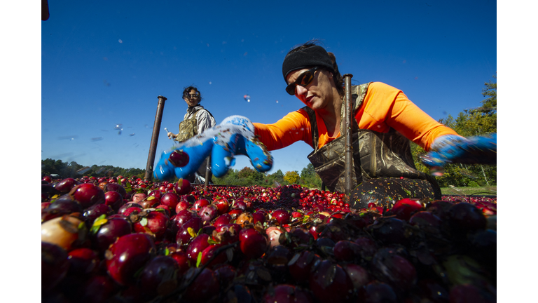 US-ENVIRONMENT-CLIMATE-AGRICULTURE