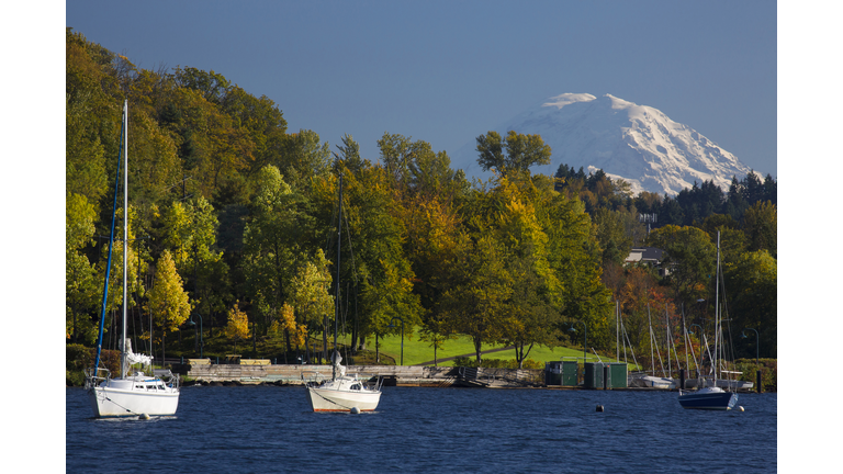 View of fall foliage and Mt. Rainier from Lake Washington in Seattle, Washington