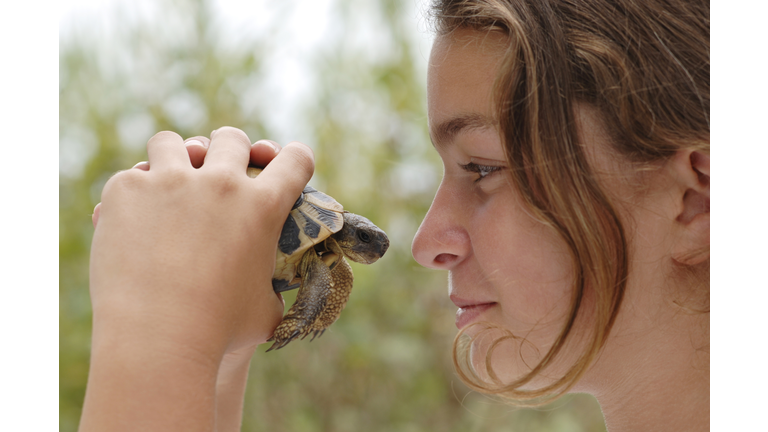 Teenage girl holding turtle, close-up