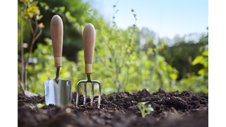 Gardening Hand Trowel and Fork Standing in Garden Soil