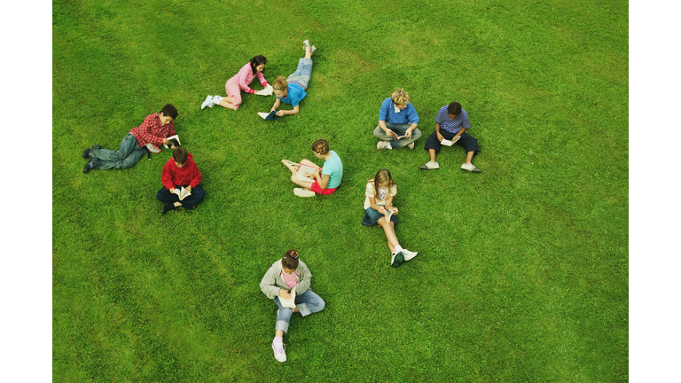 Group of children (9-12) reading on grass, elevated view