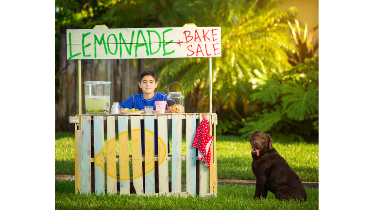 Boy and dog selling lemonade