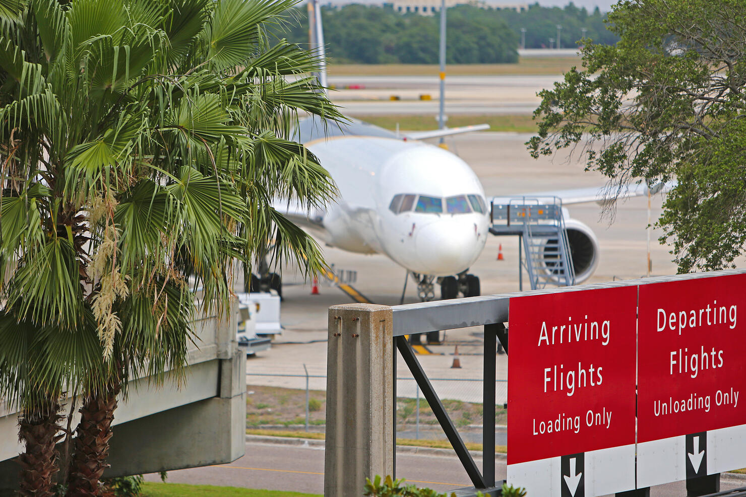 Tampa International Airport Airplane Arrival