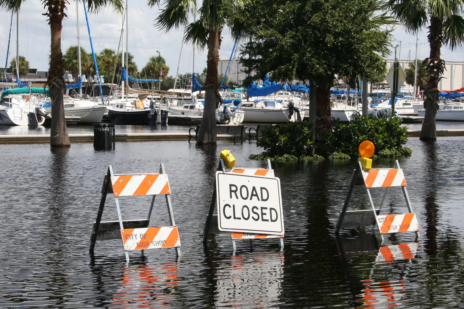 Flood Waters