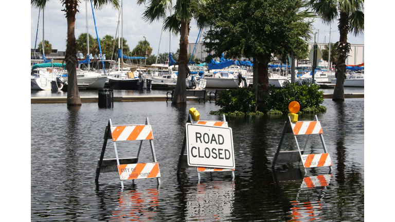 Flood Waters