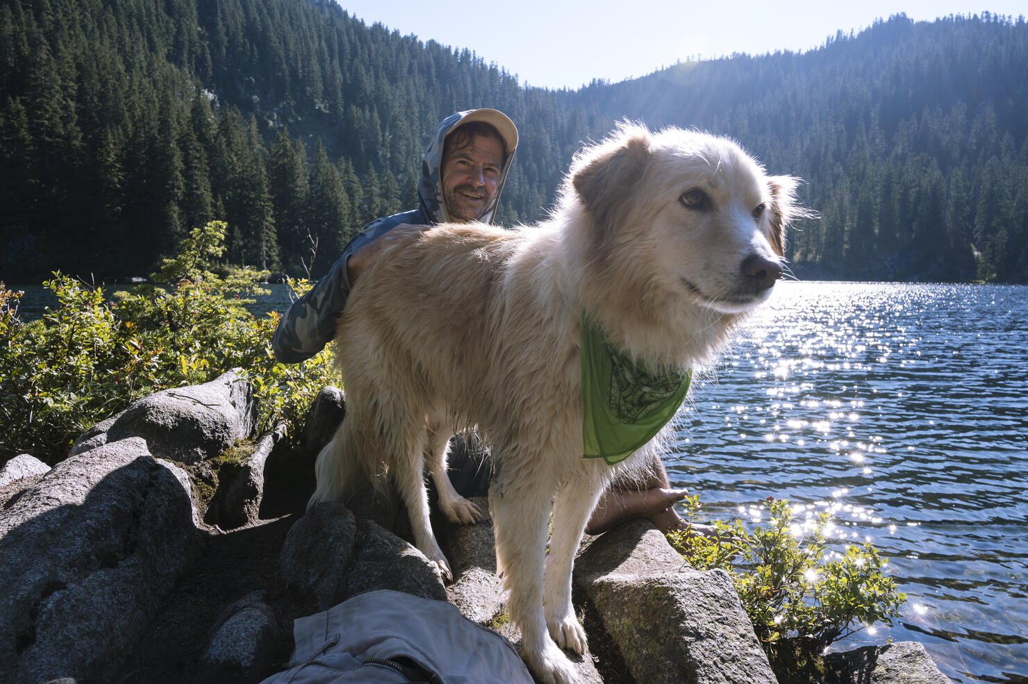 Closeup of dog next to an alpine lake