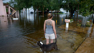 Over 270,000 Floridians Without Power As Hurricane Idalia Rages On