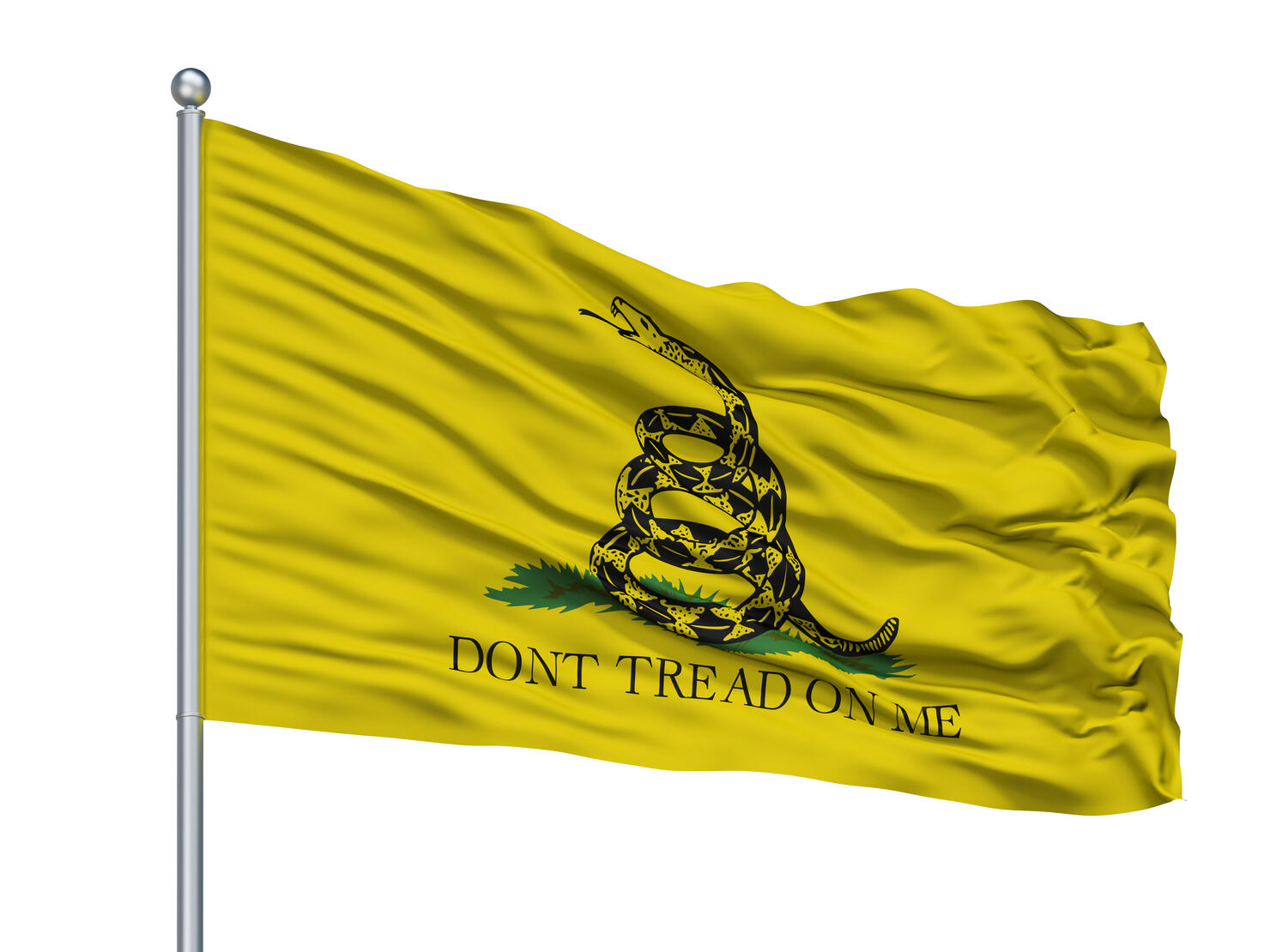 Gadsden Flag On Flagpole, Isolated On White