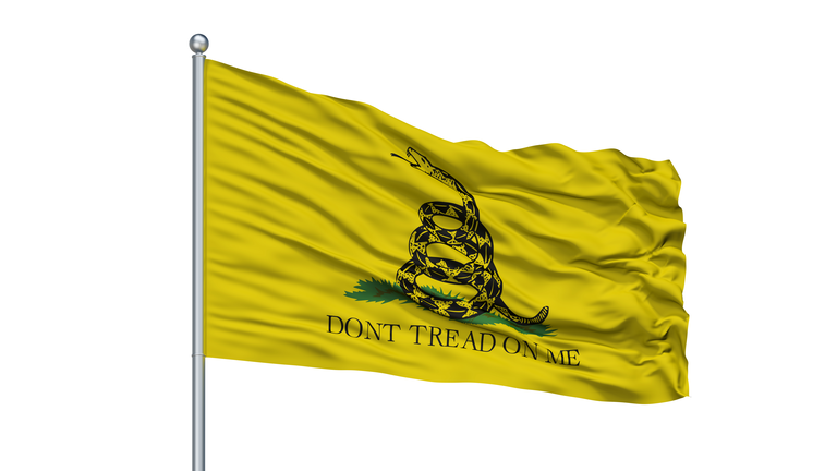 Gadsden Flag On Flagpole, Isolated On White