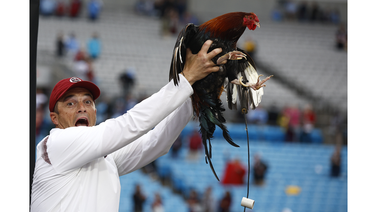 Duke's Mayo Bowl - North Carolina v South Carolina